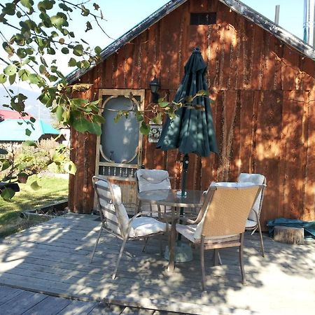Готель Steamboat Mountain Chalets Spillimacheen Екстер'єр фото